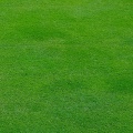 Transform Your Patio with Expert Lawn Mowing Services
