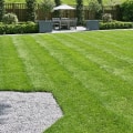 Essential Tips for Maintaining a Healthy Lawn in Your Patio Landscape