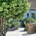 Essential Considerations for Choosing Plants in Patio Landscaping