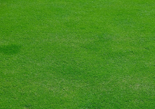 Transform Your Patio with Expert Lawn Mowing Services