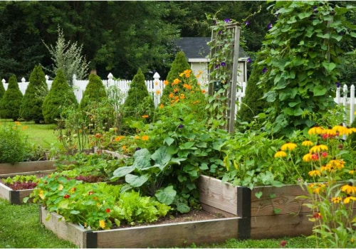 Creative Ways to Incorporate Edible Plants into Your Patio Landscape