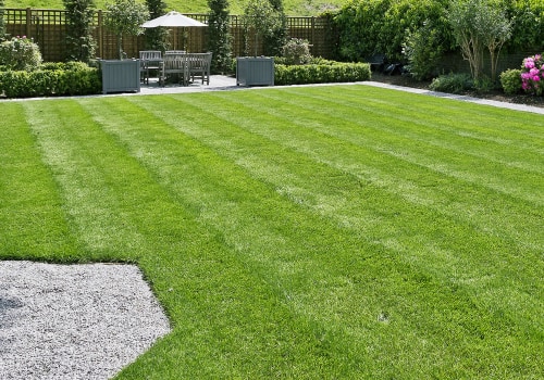 Essential Tips for Maintaining a Healthy Lawn in Your Patio Landscape
